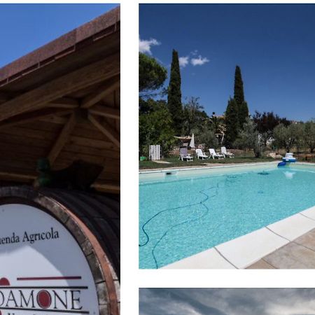 Le Stanze Di Zelinda Villa Suvereto Dış mekan fotoğraf
