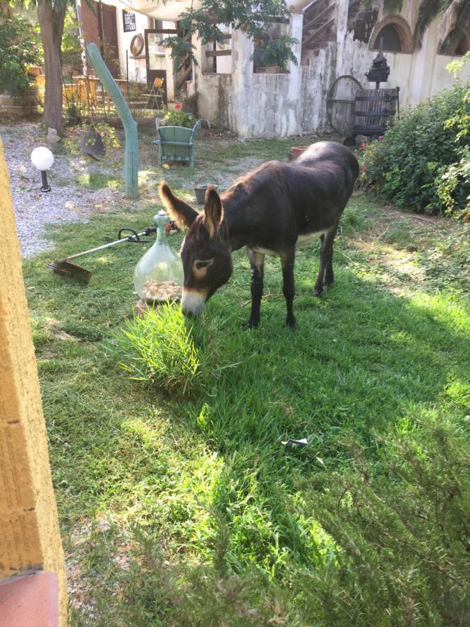 Le Stanze Di Zelinda Villa Suvereto Dış mekan fotoğraf